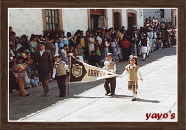 Escuela Primaria  Pedro A. de Ibarra (mat.)